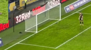 تكرار الاقتحام سنجاب يوقف مباراة هال سيتي وبريستول مرتين